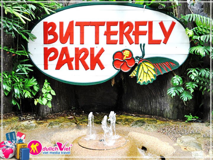 Vé tham quan Singapore Buttertly Park & Insect Kingdom giá tốt 2025